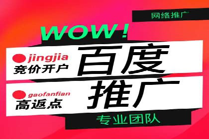 百度推广平台实战案例：助力企业快速崛起